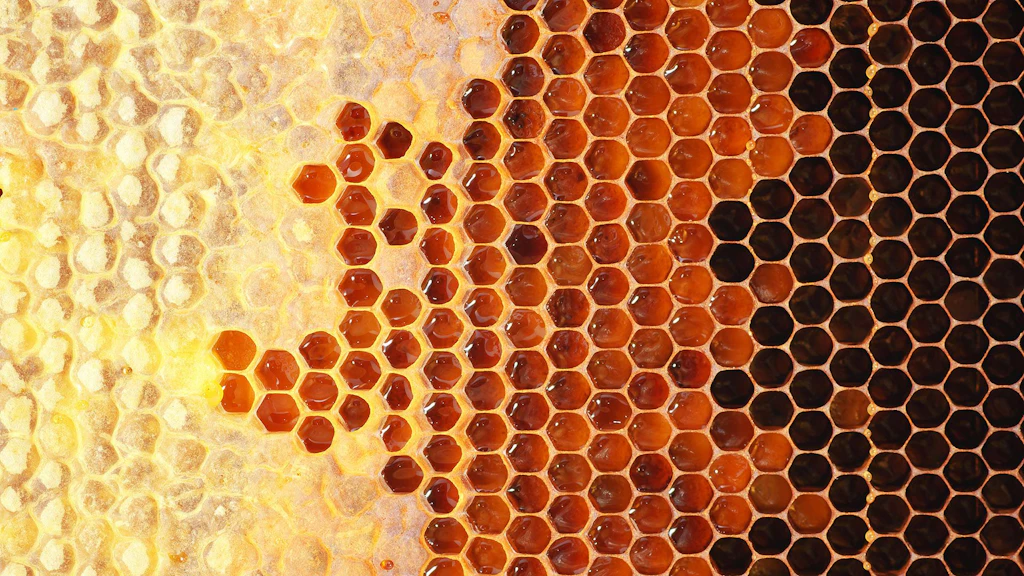 Honigwaben